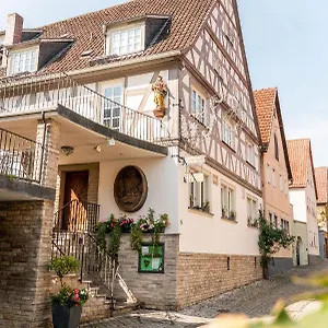 https://gasthof-weingut-zum-stern.com-bavaria.com